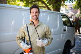 Reliable Sunnyside, CA Pest Control Solutions